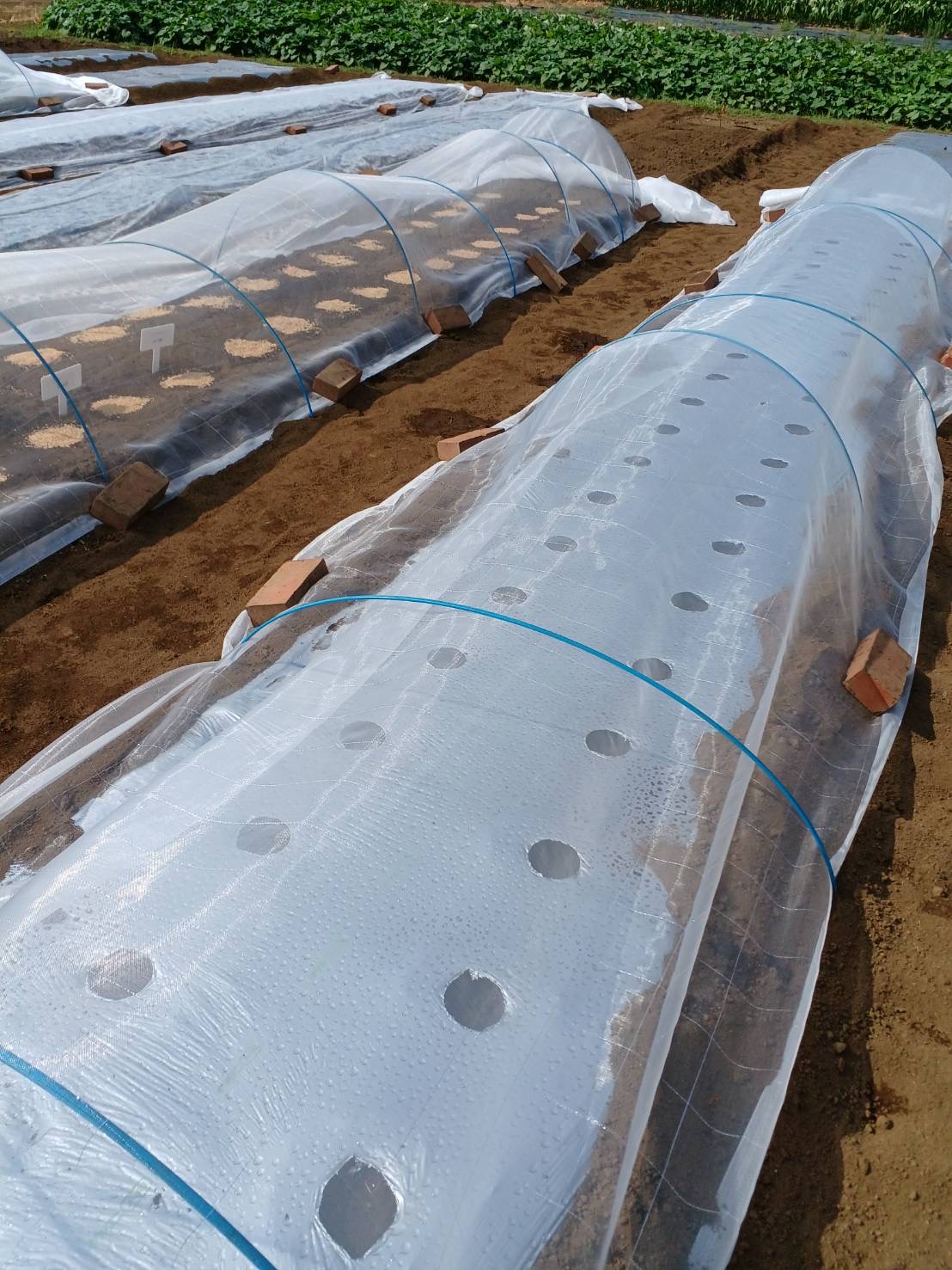 画像 -20240913-122453-93b9aca6